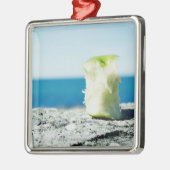 土のAppleの中心 メタルオーナメント (左)