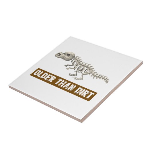 土より古い タイル (側面)