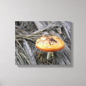 土カラフルを突き抜けるキノコ キャンバスプリント (正面)