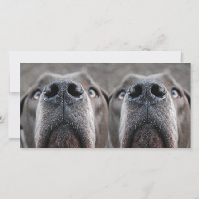 土下名瀬 (正面)