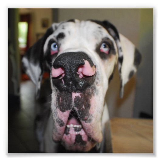 土下名瀬 フォトプリント            (正面)