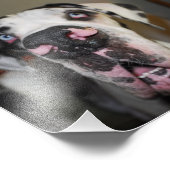 土下名瀬 フォトプリント            (角)