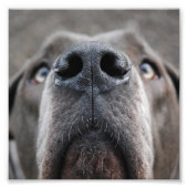 土下名瀬 フォトプリント            (正面)