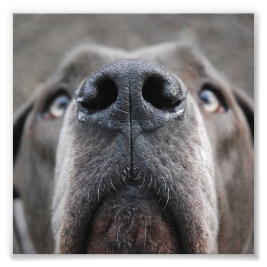 土下名瀬 フォトプリント            (正面)