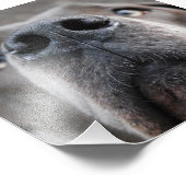 土下名瀬 フォトプリント            (角)