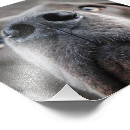 土下名瀬 フォトプリント           