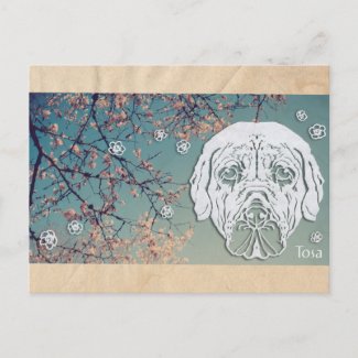 土佐犬(Japanese Mastiff)＆桜(日本国新潟県湯沢町) ポストカード