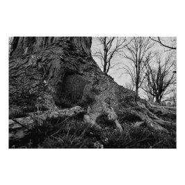 土地が取り戻される ポスター