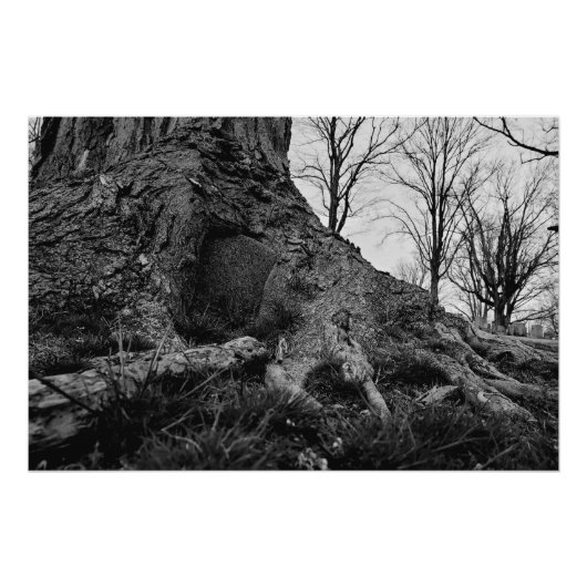 土地が取り戻される ポスター (正面)