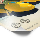 土地を知っているかイタリアフォトプリント フォトプリント            (角)