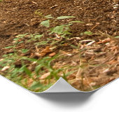 土壌ヒープの隣のホイールバロー ポスター (角)