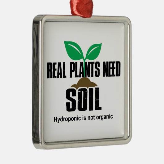 土実在水を必要とする植物はオーガニックない メタルオーナメント (右)