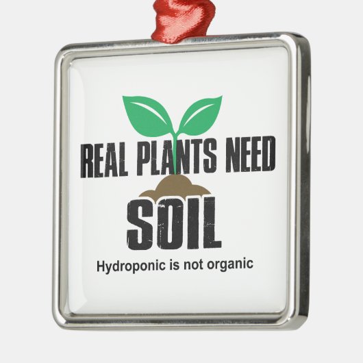 土実在水を必要とする植物はオーガニックない メタルオーナメント (左)