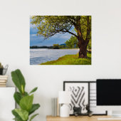 土手の木 ポスター (ホームオフィス)