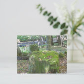 土手の苔むした岩 ポストカード (スタンド正面)