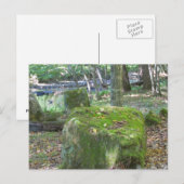 土手の苔むした岩 ポストカード (正面/裏面)