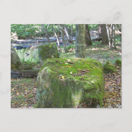 土手の苔むした岩 ポストカード (正面)