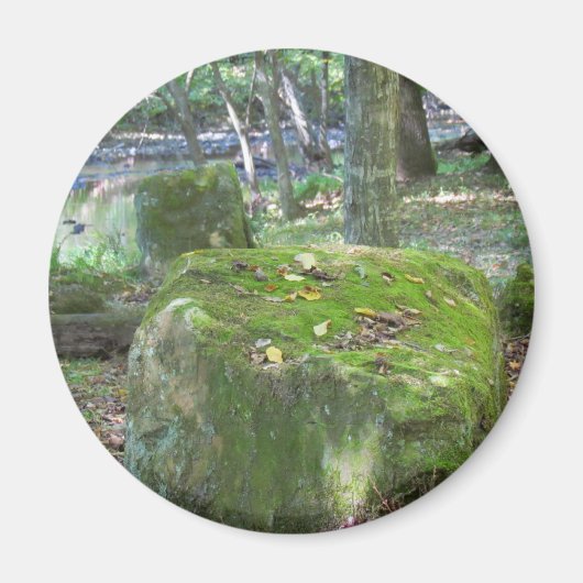 土手の苔むした岩 マグネット (正面)