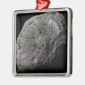 土星の月の偽の色のHyperion メタルオーナメント (左)