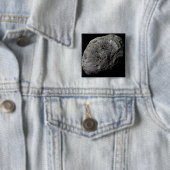 土星の月の偽の色のHyperion 缶バッジ (インサイチュ)