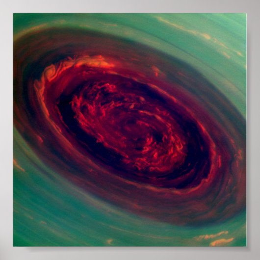 土星バラ ポスター (正面)