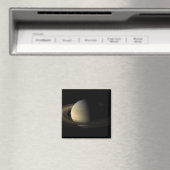 土星彼岸 マグネット (インサイチュ (食洗機))