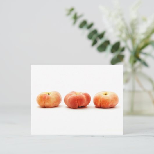 土星桃  ポストカード (スタンド正面)