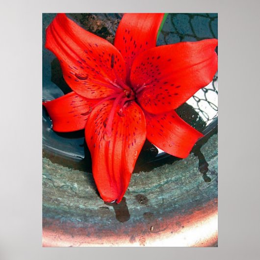 土星流 ポスター (正面)