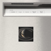 土星3 マグネット (インサイチュ (食洗機))