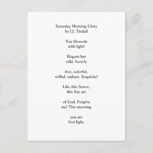 土曜の朝顔 ポストカード (正面)