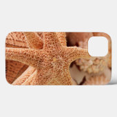 土産として売られる干しスター Case-Mate iPhoneケース (裏面 (横))