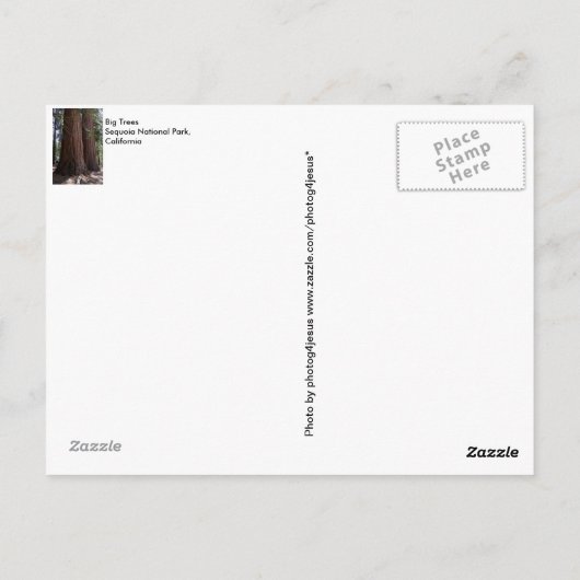 土産セコイアキングスキャニオン国立公園 ポストカード (裏面)