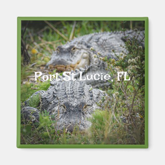 土産マグネット マグネット (正面)