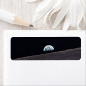 土盛 ラベル (インサイチュ)