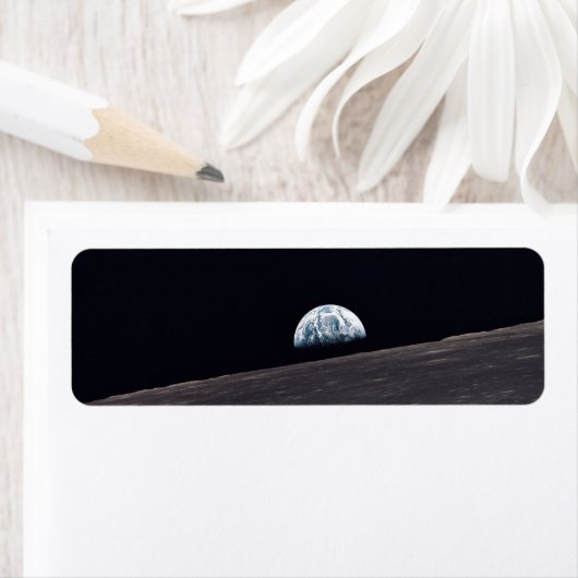 土盛 ラベル (インサイチュ)