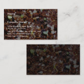 土（み）の植物が芽（さ）を出す 名刺 (正面/裏面)