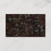 土（み）の植物が芽（さ）を出す 名刺 (裏面)