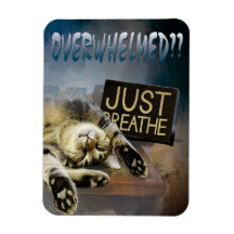 圧倒されて…呼吸マグネット23