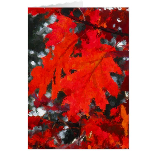 圧倒する色彩の鮮やかで赤い紅葉 (正面)