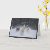 圧延の雷 カード (黄色い花)