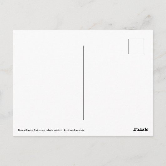 地上に二頭の歩く ポストカード (裏面)