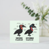 地上のホルンビル統計 ポストカード (スタンド正面)