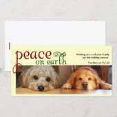 地上の平和 シーズンカード (正面/裏面)