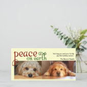 地上の平和 シーズンカード (スタンド正面)