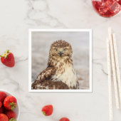 地上の未熟なアカオタカ スタンダードカクテルナプキン (インサイチュ)