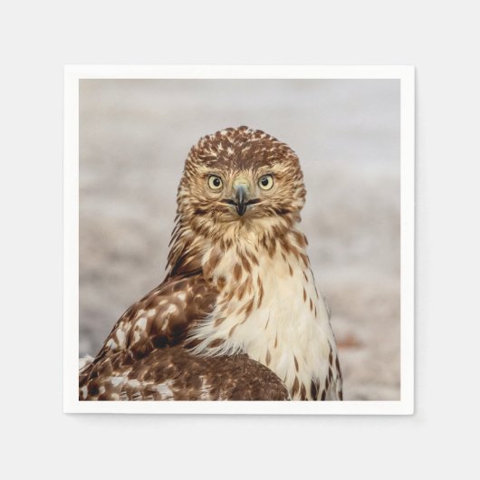 地上の未熟なアカオタカ スタンダードカクテルナプキン (正面)