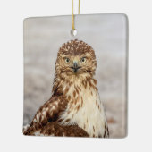 地上の未熟なアカオタカ セラミックオーナメント (左)