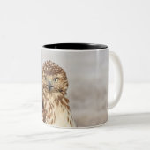 地上の未熟なアカオタカ ツートーンマグカップ (正面右)