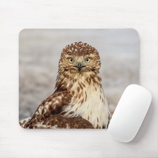 地上の未熟なアカオタカ マウスパッド (マウス)