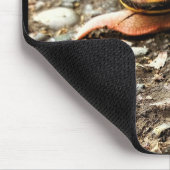 地上の赤いカタツムリ マウスパッド (コーナー)